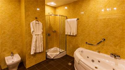 سرویس بهداشتی هتل اسپیناس پالاس تهران سرویس بهداشتی هتل اسپیناس پالاس تهران